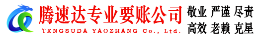 陆丰追债公司